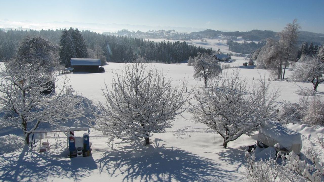 Blick vom Balkon Blick vom Balkon